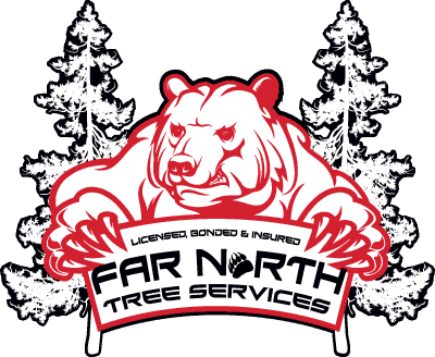 Far North Tree Services